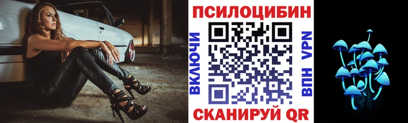 Псилоцибиновые грибы Cubensis  Купить закладки  Ермолино 